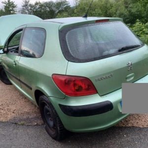 PEUGEOT 307 PHASE 1