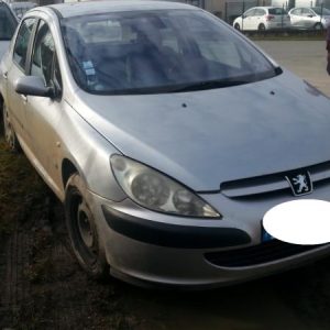 PEUGEOT 307 PHASE 1