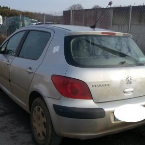 PEUGEOT 307 PHASE 1