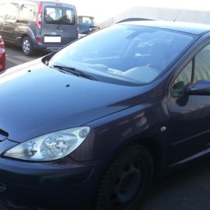 PEUGEOT 307 PHASE 1