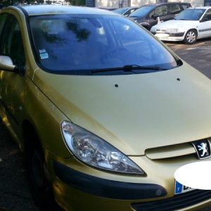 PEUGEOT 307 PHASE 1
