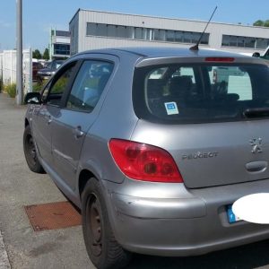 PEUGEOT 307 PHASE 1