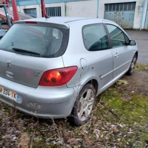PEUGEOT 307 PHASE 1