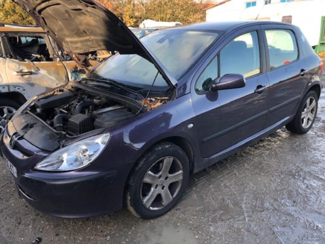 PEUGEOT 307 PHASE 1