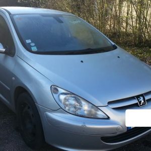 PEUGEOT 307 PHASE 1