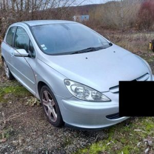 PEUGEOT 307 PHASE 1