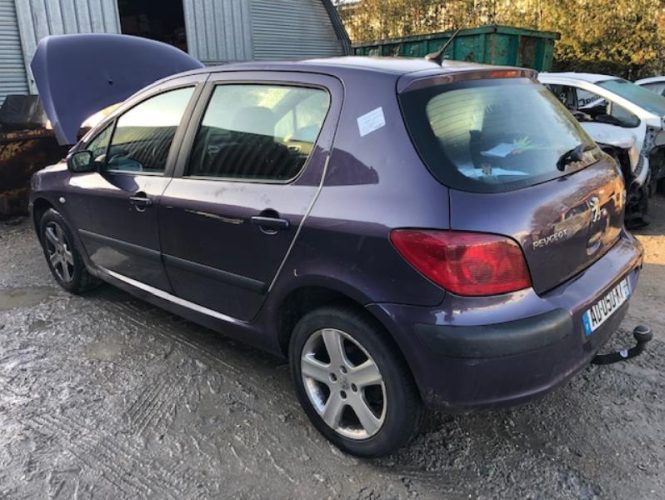 PEUGEOT 307 PHASE 1