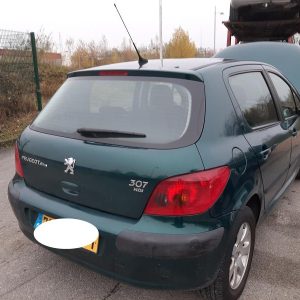 PEUGEOT 307 PHASE 1