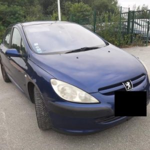 PEUGEOT 307 PHASE 1
