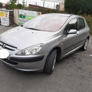 PEUGEOT 307 PHASE 1