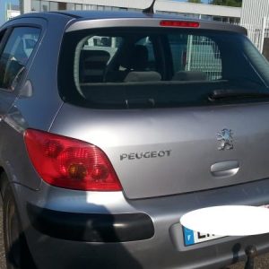 PEUGEOT 307 PHASE 1