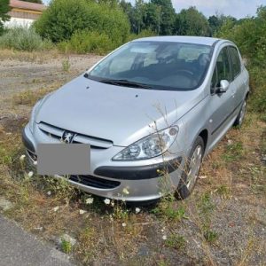 PEUGEOT 307 PHASE 1