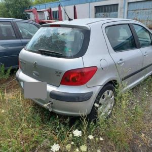 PEUGEOT 307 PHASE 1