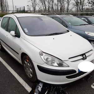 PEUGEOT 307 PHASE 1