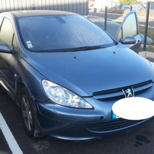 PEUGEOT 307 PHASE 1