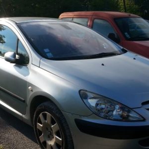 PEUGEOT 307 PHASE 1