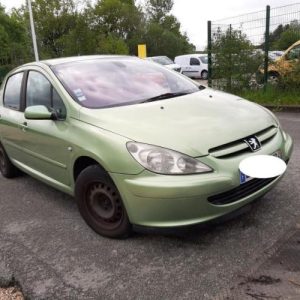 PEUGEOT 307 PHASE 1