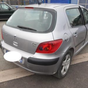 PEUGEOT 307 PHASE 1