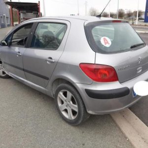 PEUGEOT 307 PHASE 1