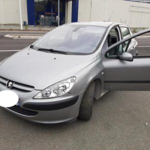 PEUGEOT 307 PHASE 1