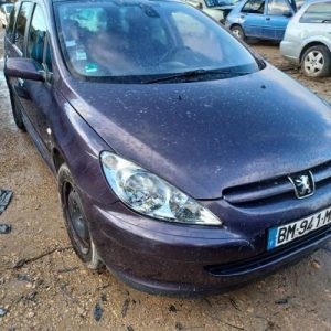 PEUGEOT 307 PHASE 1 BREAK
