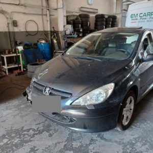 PEUGEOT 307 PHASE 1