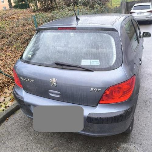 PEUGEOT 307 PHASE 2