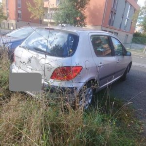 PEUGEOT 307 PHASE 2