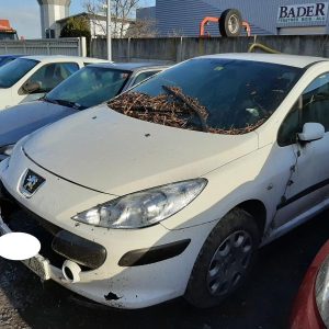 PEUGEOT 307 PHASE 1