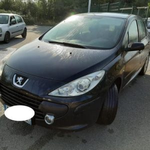 PEUGEOT 307 PHASE 1