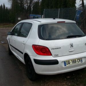 PEUGEOT 307 PHASE 1