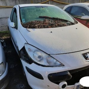 PEUGEOT 307 PHASE 1