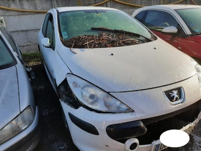 PEUGEOT 307 PHASE 1