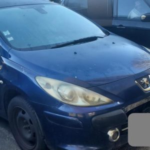 PEUGEOT 307 PHASE 1 BREAK