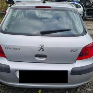 PEUGEOT 307 PHASE 1