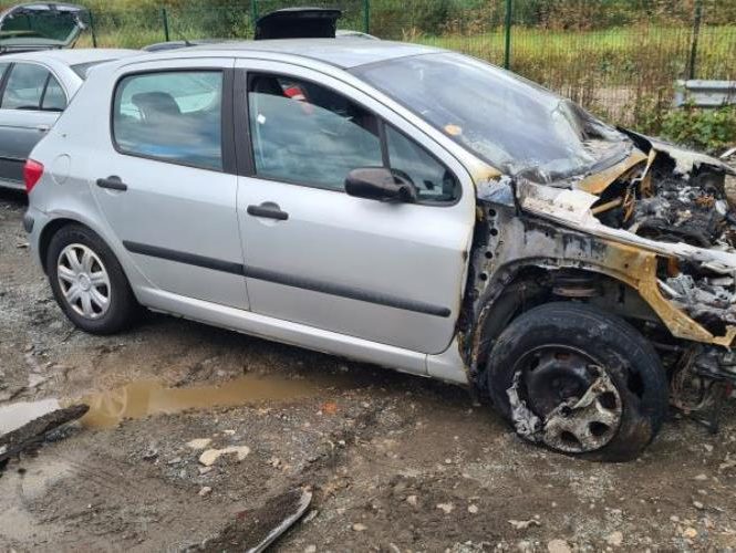PEUGEOT 307 PHASE 1