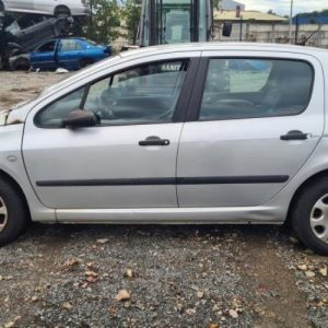 PEUGEOT 307 PHASE 1