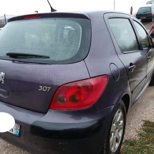 PEUGEOT 307 PHASE 1