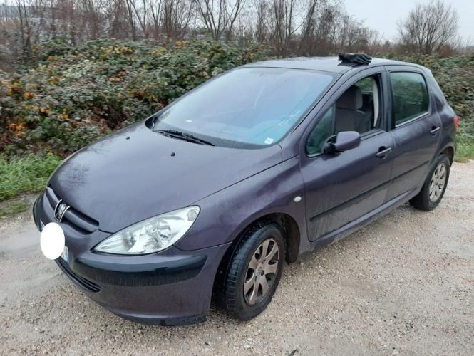 PEUGEOT 307 PHASE 1