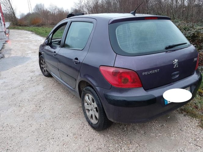 PEUGEOT 307 PHASE 1