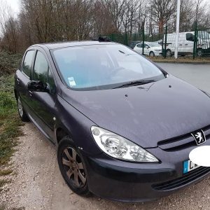 PEUGEOT 307 PHASE 1