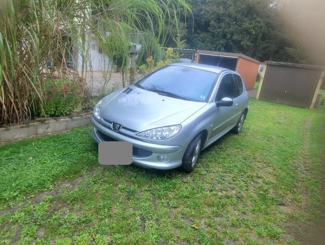PEUGEOT 206 PHASE 1