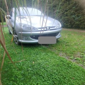 PEUGEOT 206 PHASE 1