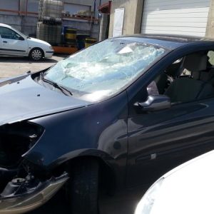 RENAULT CLIO 3 PHASE 1