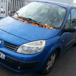 RENAULT SCENIC 2 PHASE 1