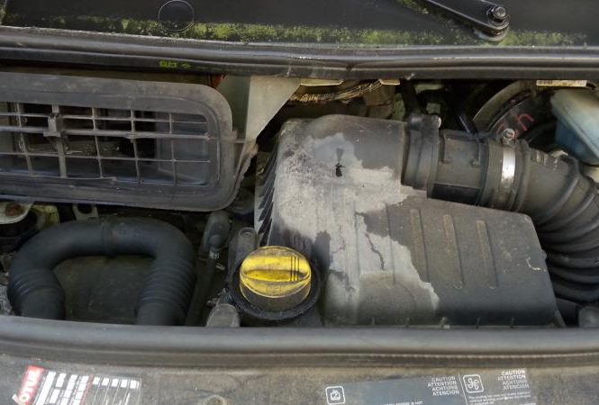 RENAULT TRAFIC 2 PHASE 2