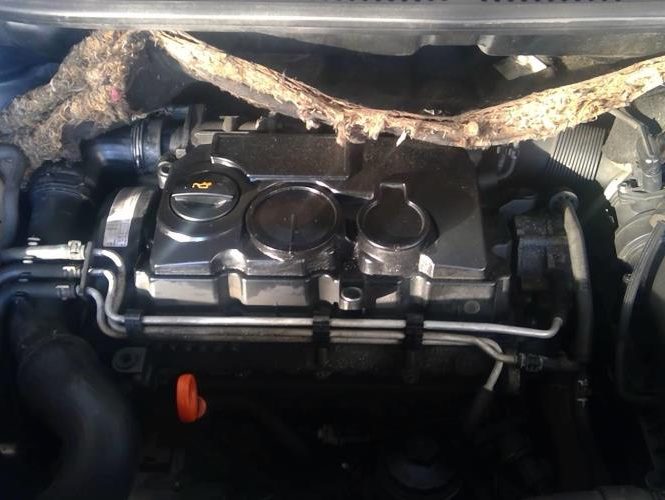 VOLKSWAGEN CADDY 3 PHASE 1