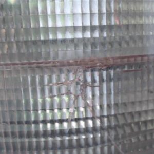 MERCEDES CLASSE A 168