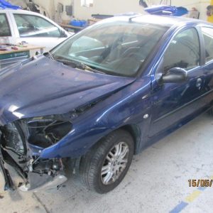PEUGEOT 206 PHASE 1