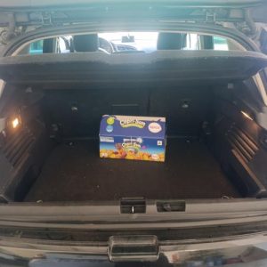 PEUGEOT 3008 1 PHASE 1